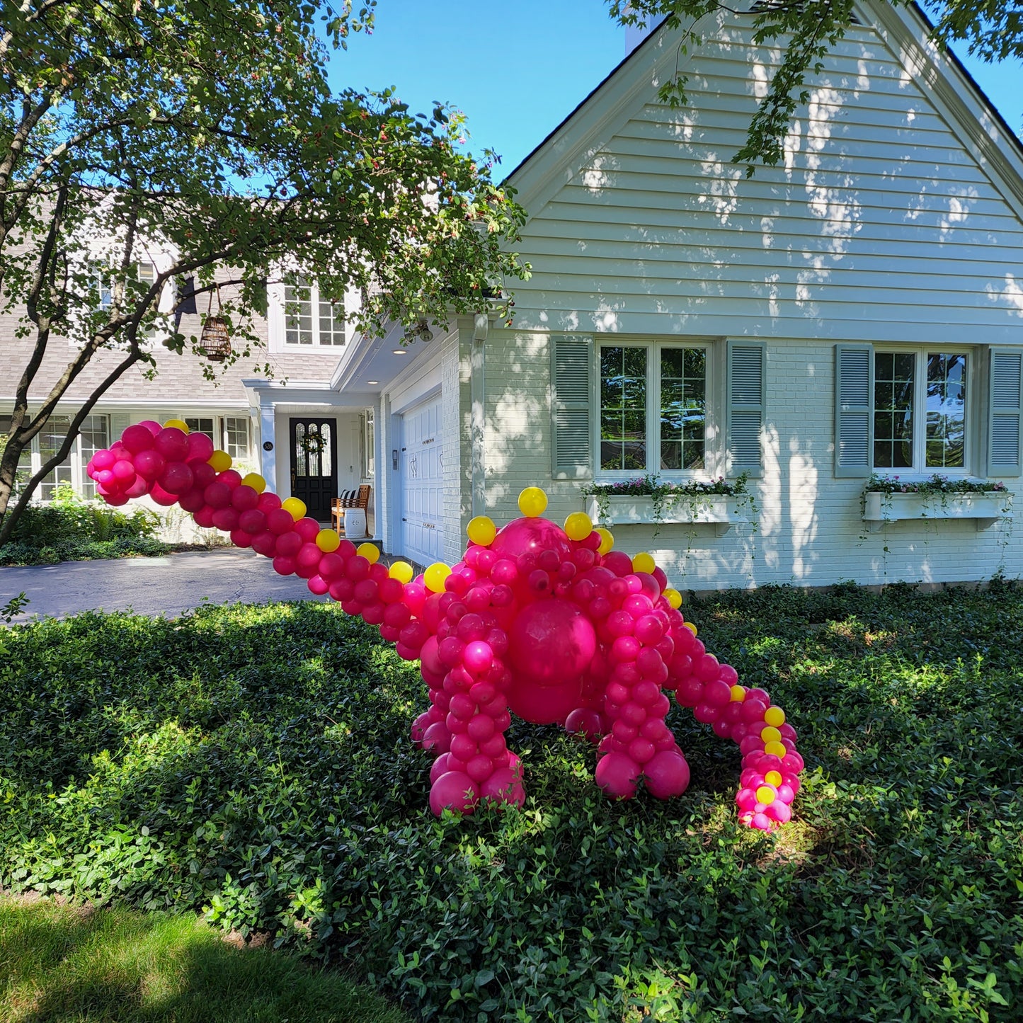 Tutorial Class - Small Dinosaur DIY Balloon Decoration