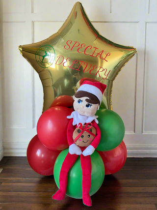 Elf Arrival - Special Delivery