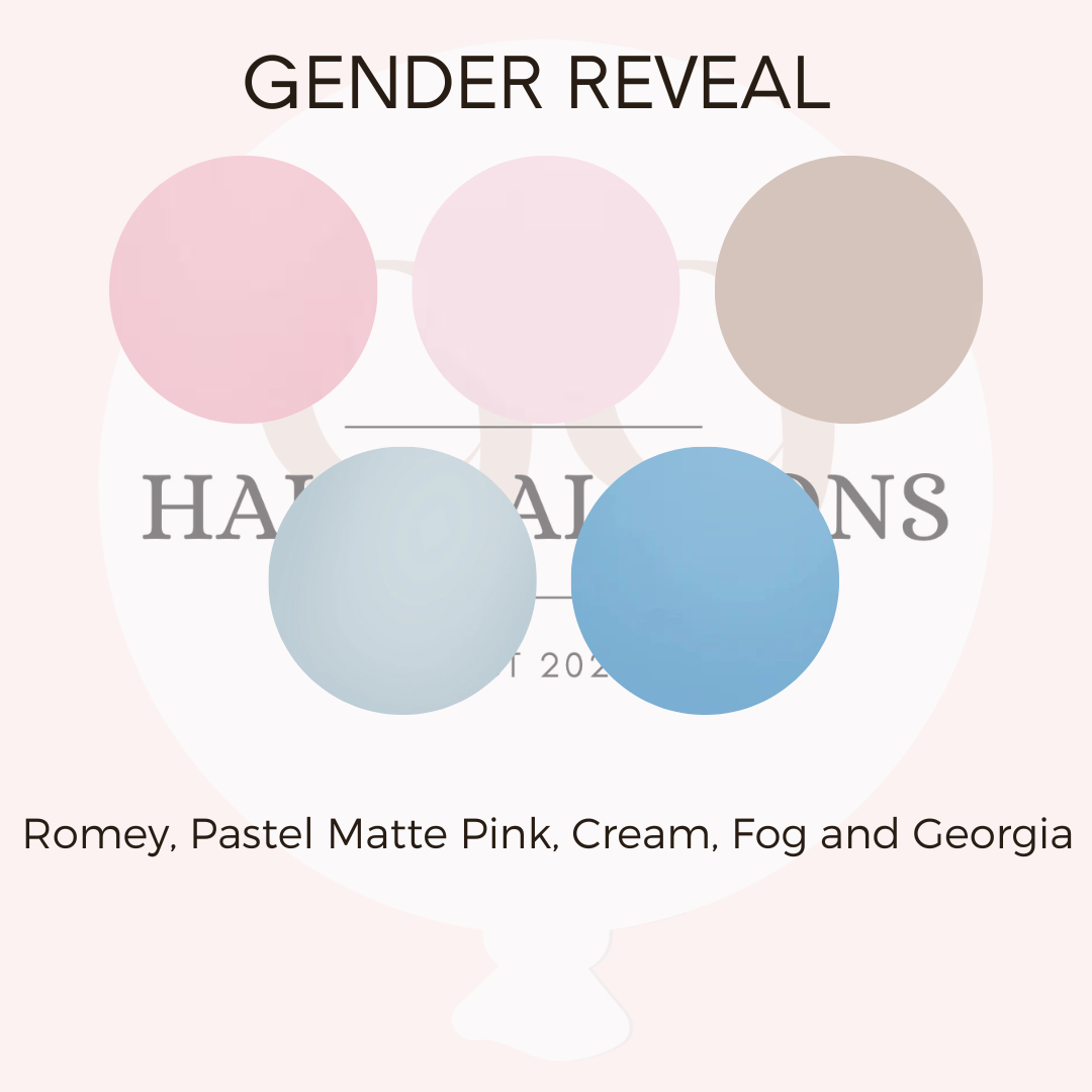 Gender Reveal Arch