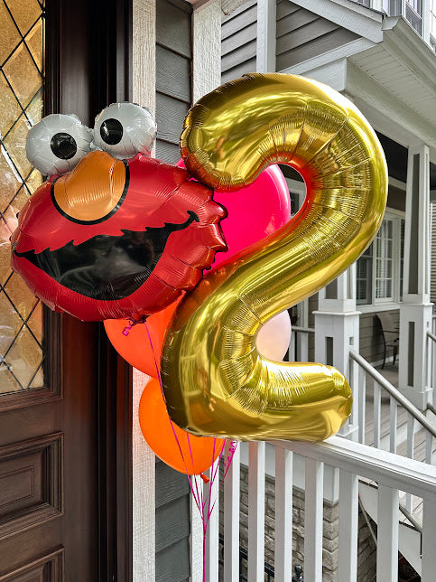 Sesame Street Helium Bundle