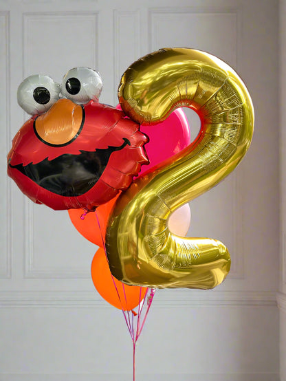 Sesame Street Helium Bouquet