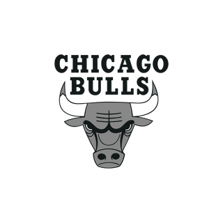 Chicago Bulls logo showcasing their business as a 99 Haus Balloons corporate events client